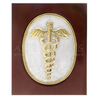 Σύμβολο Ιατρικής Ασήμι Χρυσό Σε Κάδρο, κηρύκειο, σύμβολο ιατρικής φίδι, δώρα για γιατρό, δώρα για γιατρούς, δώρα για ιατρό, δώρα για ιατρό, ιατρούς, πτυχιούχο ιατρικής, απόφοιτο ιατρικής, πτυχιούχο, ιατρικά δώρα, δώρα σε καρδιολόγο, δώρα σε χειρούργο, δώρα σε παθολόγο, δώρα σε γυναικολόγο, δώρα σε παιδίατρο, επιχειρηματικά δώρα, αναμνηστικά δώρα για γιατρό, δώρα ευχαριστίας για γιατρό, dora gia giatro, δώρα σε γιατρούς