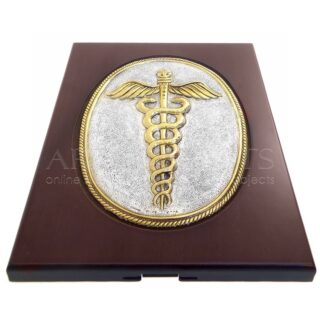 Σύμβολο Ιατρικής Ασήμι Χρυσό Σε Κάδρο